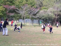 土曜スポーツ探検隊